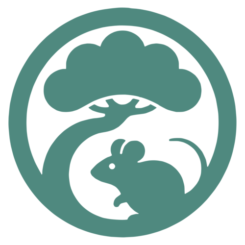 Linzumi
